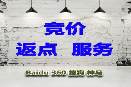 深度解析百度推广代运营公司的成功策略与技巧